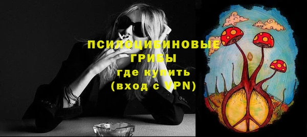 МДМА Богданович