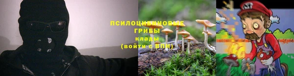 МДМА Богородицк