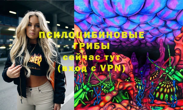 МДМА Богданович